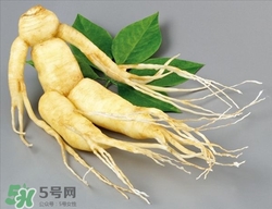 野山參是人參嗎?野山參是紅參還是白參 野山參是人參嗎?野山參是紅參還是白參