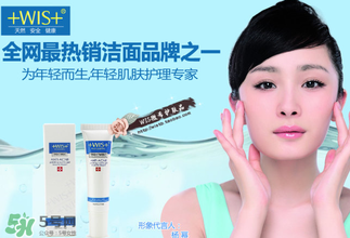 wis是哪個國家的品牌？wis是什么牌子？