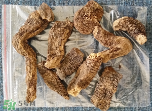 野生肉蓯蓉多少錢一斤？肉蓯蓉價(jià)格一斤多少錢？