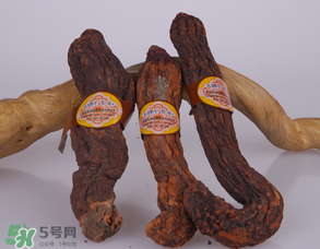 鎖陽和肉蓯蓉一起泡酒可以嗎？肉蓯蓉和鎖陽的區(qū)別