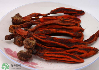 回春草有什么功效？回春草的功效與作用 