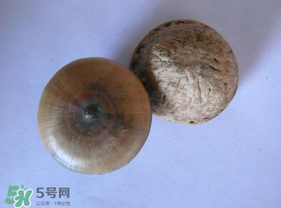 風(fēng)流果多少錢一斤？風(fēng)流果的價(jià)格