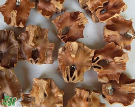 核桃分心木多少錢一斤？核桃分心木價(jià)格