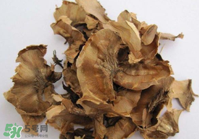 分心木真的能治失眠嗎？分心木治療失眠有奇效