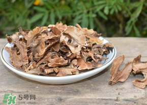 分心木真的能治失眠嗎？分心木治療失眠有奇效