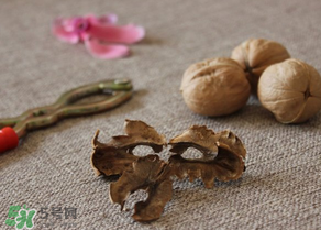 核桃分心木能泡幾次水？核桃分心木一次泡多少？