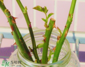 立春可以理發(fā)嗎？立春可以洗頭嗎？