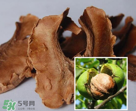 核桃分心木能長期喝嗎？核桃分心木一天喝幾次？