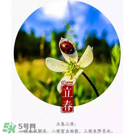 立春可以出門嗎？立春為什么不能出門？