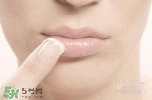 嘴唇干裂涂蜂蜜有用嗎？怎樣用蜂蜜改善嘴唇干裂？
