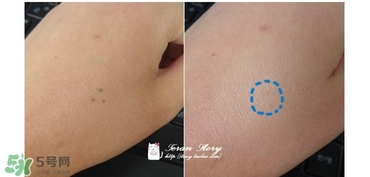 愛茉莉遮瑕膏多少錢？愛茉莉雙色遮瑕膏價格