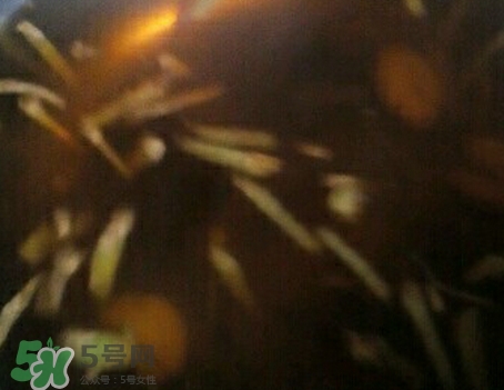 生姜紅糖水可以空腹喝嗎?生姜紅糖水可以晚上喝嗎? 生姜紅糖水可以空腹喝嗎?生姜紅糖水可以晚上喝嗎?