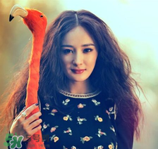 燙發(fā)適合什么臉型_什么臉型適合燙發(fā) 燙發(fā)適合什么臉型_什么臉型適合燙發(fā)