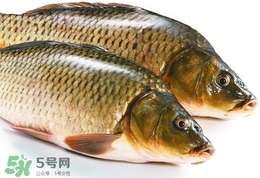 吃鯽魚(yú)可以暖胃嗎?鯽魚(yú)怎么吃最暖胃?