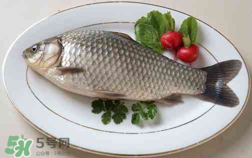 吃鯽魚(yú)可以暖胃嗎?鯽魚(yú)怎么吃最暖胃?
