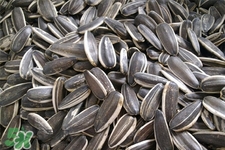 乙肝能吃瓜子嗎？乙肝患者不能食用葵瓜子