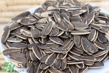 乙肝能吃瓜子嗎？乙肝患者不能食用葵瓜子