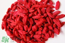 有乙肝能吃枸杞嗎？乙肝病人可以吃枸杞嗎？