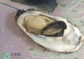 生蠔多少錢一斤？生蠔一斤有幾個？