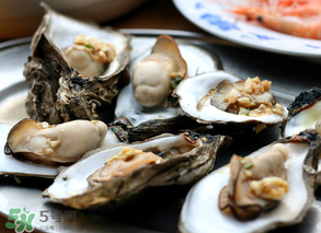 生蠔多少錢一斤？生蠔一斤有幾個？