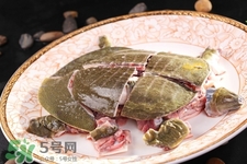 有乙肝可以吃甲魚嗎？乙肝患者禁吃甲魚