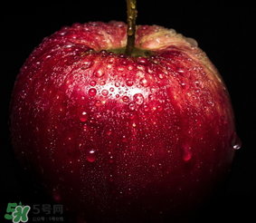 蘋果放在水里是沉還是浮？蘋果的密度是多少？