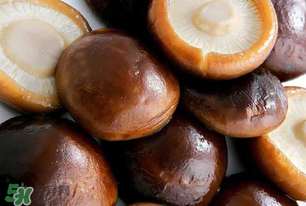 一歲寶寶可以吃香菇嗎？寶寶多大可以吃香菇？