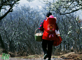 立春可以回娘家嗎？立春能在娘家過嗎？