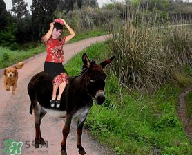 立春可以回娘家嗎？立春能在娘家過嗎？