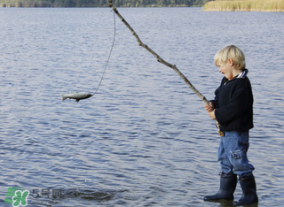 立春能釣魚嗎？立春好釣魚嗎？