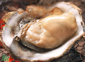 生蠔隔夜可以吃嗎？隔夜的生蠔能吃嗎？