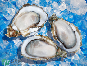 生蠔隔夜可以吃嗎？隔夜的生蠔能吃嗎？