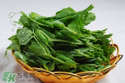 豌豆尖怎么做好吃?豌豆尖的功效與作用 豌豆尖怎么做好吃?豌豆尖的功效與作用