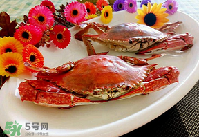 臘月吃什么蟹？臘月吃公蟹還是母蟹？