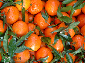 臘月吃什么水果？臘月有什么好吃的水果？