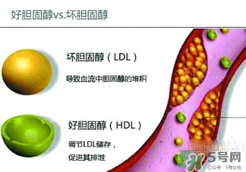 膽固醇高是血脂稠嗎？膽固醇高和血脂稠有什么聯(lián)系？