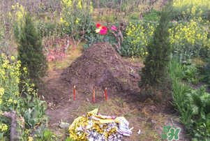 臘月可以上墳嗎？臘月上墳時間