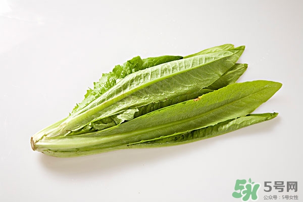 油麥菜和豆腐能搭配嗎?油麥菜和豆腐怎么炒好吃 油麥菜和豆腐能搭配嗎?油麥菜和豆腐怎么炒好吃