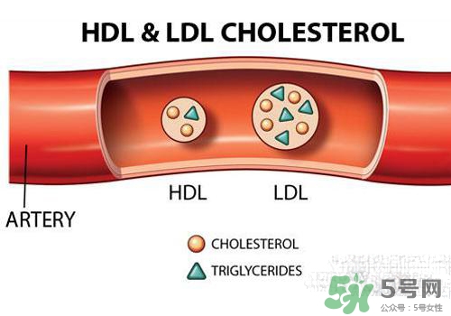 膽固醇高是血脂稠嗎？膽固醇高和血脂稠有什么聯(lián)系？