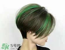 香菇頭發(fā)型圖片_香菇頭女生發(fā)型圖片 香菇頭發(fā)型圖片_香菇頭女生發(fā)型圖片