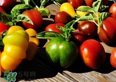 吃什么食物保養(yǎng)卵巢?吃什么食物對卵巢好?