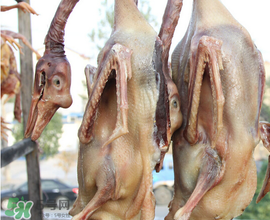 臘鵝怎么腌制？臘鵝的腌制方法