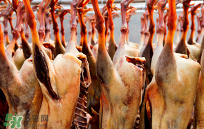 臘鵝怎么腌制？臘鵝的腌制方法