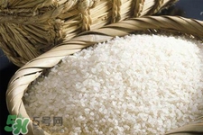 米飯熱量高嗎？吃米飯會胖嗎？