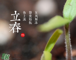 立春吃什么蔬菜？立春時令蔬菜推薦