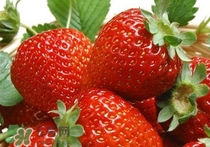 立春吃什么水果？立春養(yǎng)生水果推薦