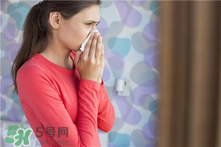 洋蔥放腳底能治感冒嗎?洋蔥放腳底的功效 洋蔥放腳底能治感冒嗎?洋蔥放腳底的功效