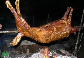 烤全羊多少錢一只？烤全羊用的什么羊？