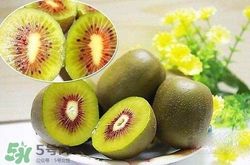 喝酒后可以吃獼猴桃嗎？酒和獼猴桃可以一起吃嗎？