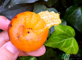 橘子烤著吃會(huì)上火嗎？烤橘子上火嗎？